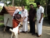 goat-1-17