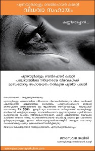 Widow-pension 2